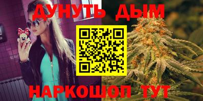 спиды Новодвинск
