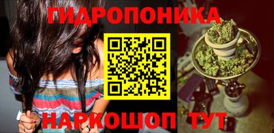 спиды Новодвинск