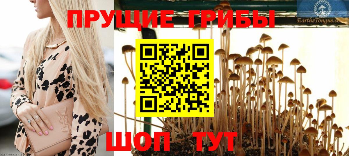 закладки  Псилоцибиновые грибы Psilocybe  Вход с VPN  Топки  Галлюциногенные грибы Magic Shrooms 